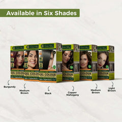 6 hair colour shades