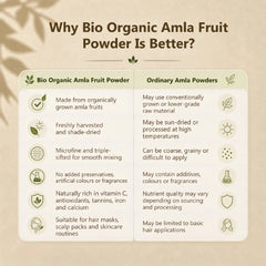 Bio Organic Amla Fruit Powder for Hair Growth and Skin