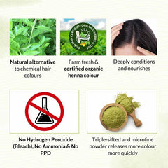Bio Organic Dark Brown Henna Hair Colour For Early Grey Hair Coverage - 100gm