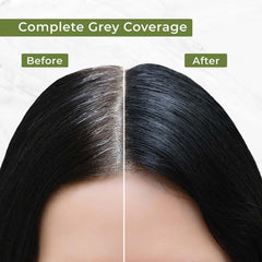 Organic & Natural Damage Free Gel Hair Colour before and after comparison.