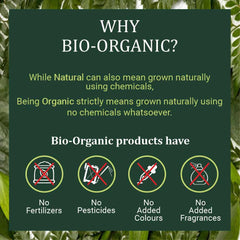 Bio Organic Bhringraj Powder - 100gm