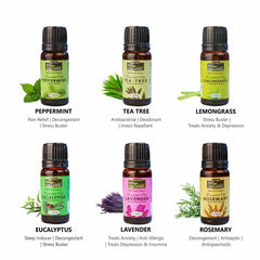 Essential Oils Gift Pack - Pack of 6 (10ml each)