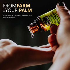 Essential Oils Gift Pack - Pack of 6 (10ml each)