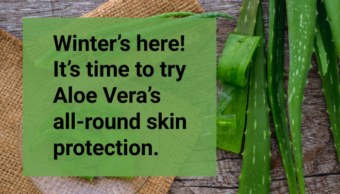 Winter’s Here! It’s Time To Try Aloe Vera’s All-Round Skin Protection.