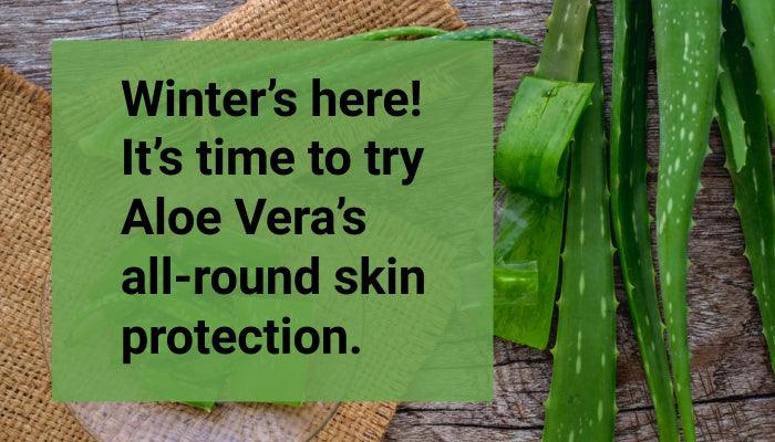 Aloe vera gel