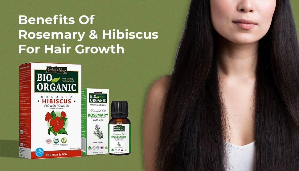 Benefits of Rosemary and Hibiscus For Hair Growth