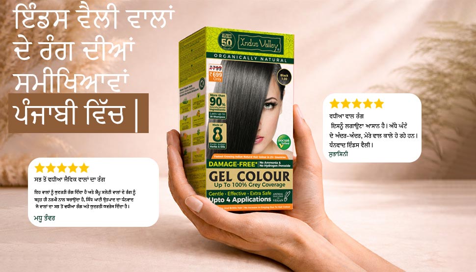 Indus Valley Hair Colour Reviews  - Punjabi
