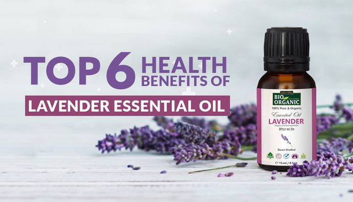 Top 6 Health Benefits of Lavender Essential  Oil