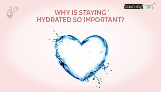 Why is staying Hydrated so important ?