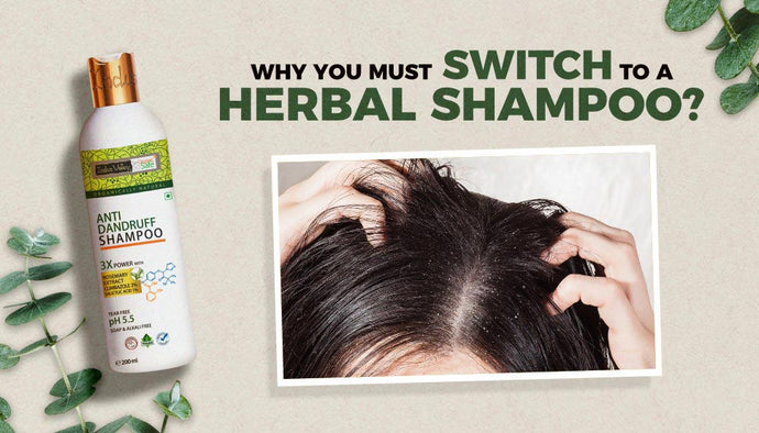 Why You Must Switch To A Herbal Shampoo This Summer?