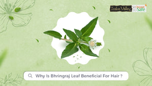 Why is Bhringraj Leaf Beneficial for Hair?