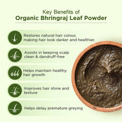 Bio Organic Bhringraj Powder - 100gm