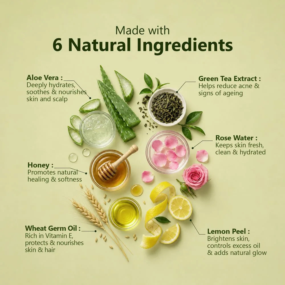 Ingredients of Aloe Vera Gel