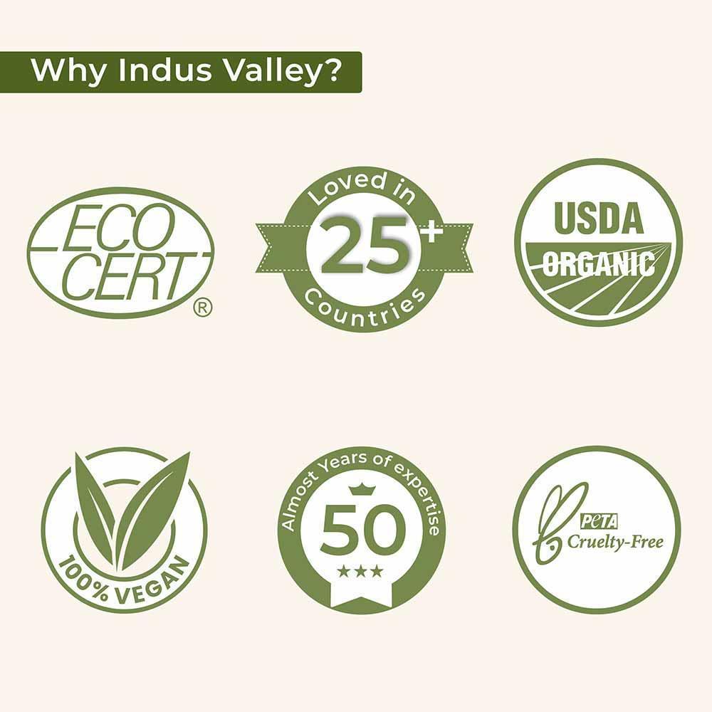 why indus valley
