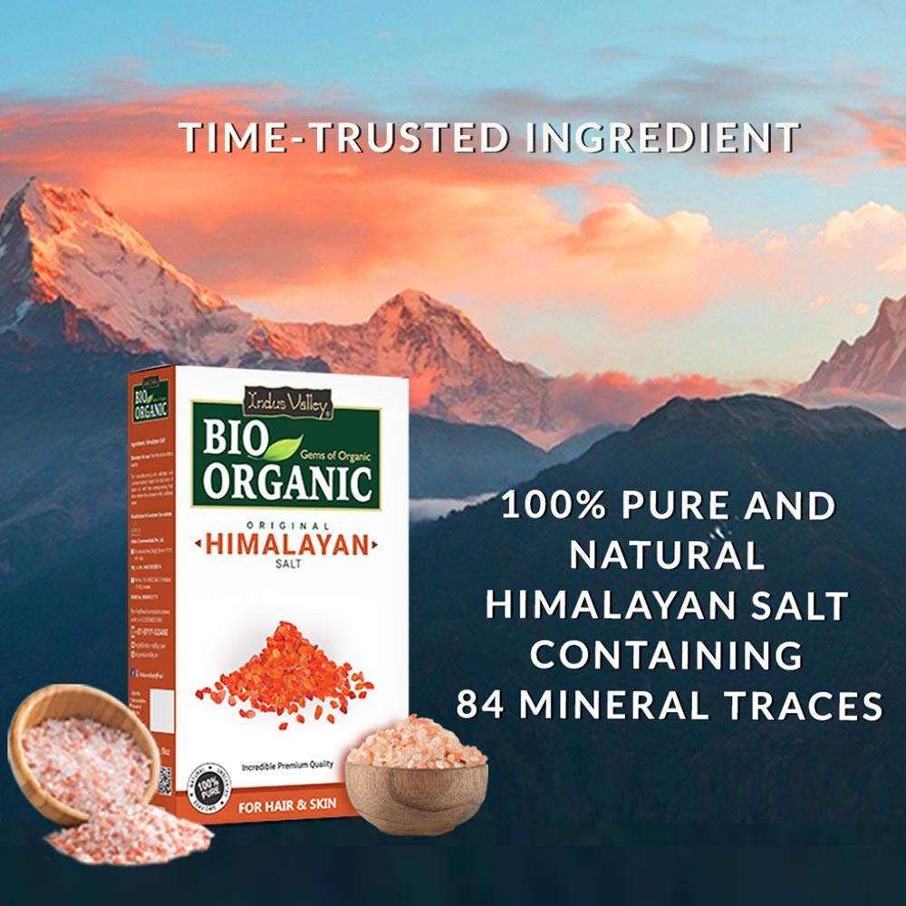 Original Salt Bio-Organic Original Himalayan Salt – Indus Valley