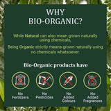 Bio-Organic Brahmi Leaf Powder (100gm)