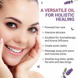 Pure & Organic Lavender Essential Oil (15ml)